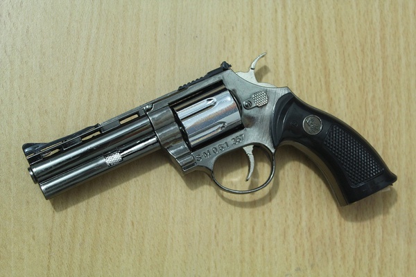 प्रदेश २ : पेस्तोल सहित युवक पक्राउ