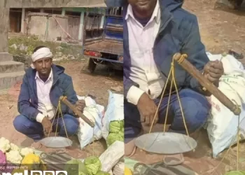 दुर्गापुरका किसानले अनौठो काउली उत्पादन गर्दै उपभोक्तालाई चकित पारे