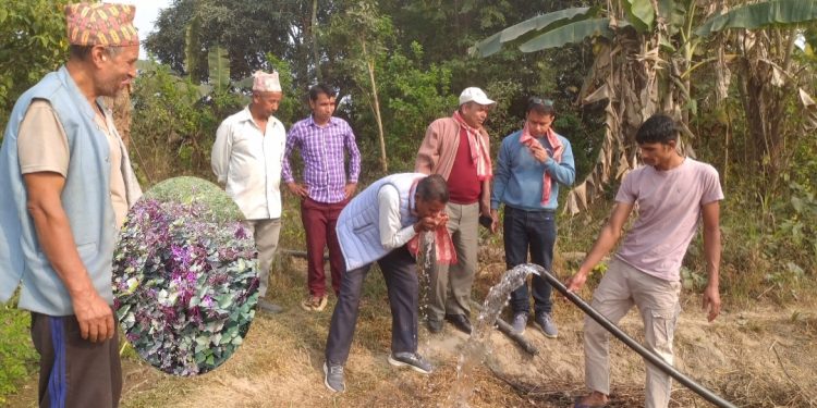 कृषक महासंघको पहलले किसानको जीवनशैली परिवर्तन