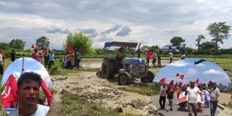 १६ कठ्ठा जग्गा फिर्ताका लागि किसान संगठनको कब्जा र धान खेती सुरु