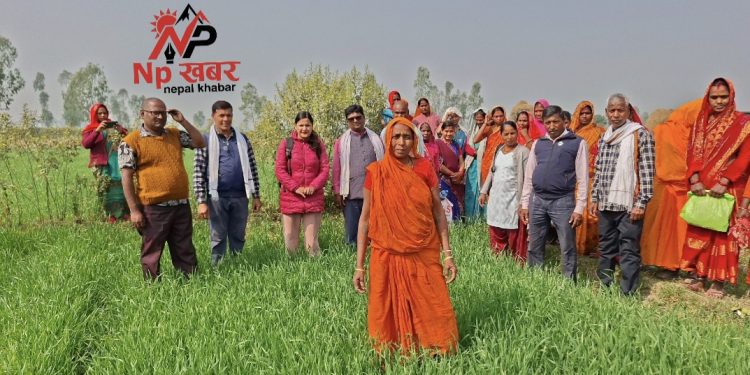 जलवायु चुनौती सामना गर्न कृषक सशक्तीकरणमा जोड