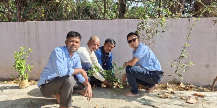 लहानमा हरियालीको पहल: जन्मदिनमा वृक्षारोपण कार्यक्रम सम्पन्न